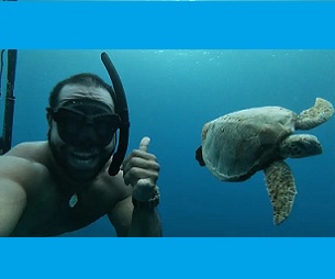 Credit - JinNam Hopotoa