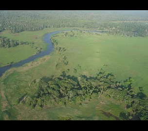 Tonda Wildlife Management Area, Papua New Guinea. Credit - Iain Taylor