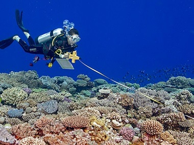 A scientific scuba diver records fish along a transect line. Global Reef Expedition, Tonga 2013. Photo by Ken Marks.