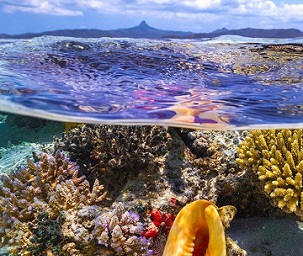 The shallow waters of Mayotte Island in the Indian Ocean. Credit -  Ocean Image Bank/Gaby Barathieu 