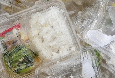 Fewer than 15% of recycling facilities surveyed could process plastic clamshells, like these. Photograph: Prakaymas vitchitchalao/Alamy