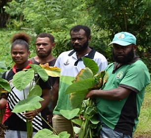 Credit - https://www.dailypost.vu/