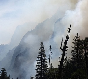 In this June 11, 2019, file photo, canyon walls are shrouded with smoke from a prescribed burn in Kings Canyon National Park, Calif. Ten of the world's most treasured forests and nature reserves, including those in Yosemite National Park in the United States and Sumatra's tropical rainforest in Indonesia, have gone from being net consumers of heat-trapping carbon dioxide in the atmosphere to net generators of it, a new U.N.-backed report shows. The first of its kind study by the International Union for Cons