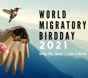 World Migratory Bird Day 2021 logo. Credit - Sara Wolman