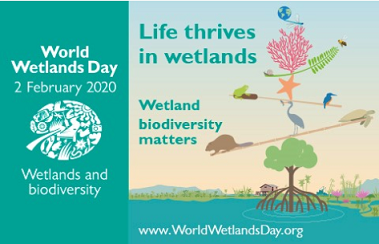 World Wetlands Day promotional flyer. source - www.ramsar.org