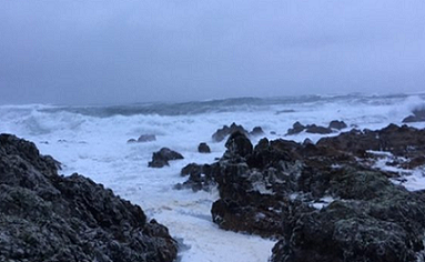 Houghton Bay in Wellington. Photo: RNZ / Caitlin Cherry