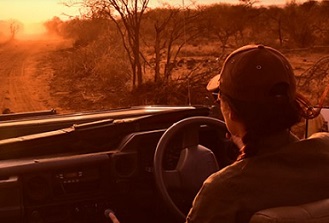 Despite facing barriers to their work, women continue to transform how we empower communities, manage natural resources, navigate human/wildlife conflicts, and educate the next generation of stewards. Photo by South African Tourism.