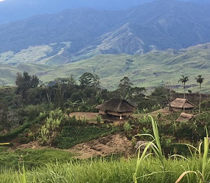 YUS Conservation Area, Papua New Guinea. Credit - Paul van Nimwegen