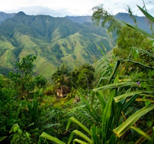 Credit - Woodland Park Zoo