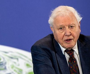 FILE PHOTO: David Attenborough speaks during a conference about the UK-hosted COP26 UN Climate Summit, at the Science Museum in London, Britain February 4, 2020. Chris J Ratcliffe/Pool via REUTERS/File Photo
