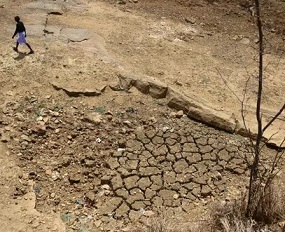 An Indian farmer walks across the bed of a pond that has dried out during a water crisis. Photograph: Sanjay Kanojia/AFP via Getty Images