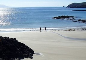 View across Tawharanui Marine Reserve and the Hauraki Gulf towards Hauturu/Little Barrier Island. Photo: RNZ / Alison Ballance