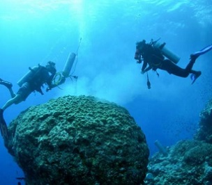 Samples of past bleaching events in the Red Sea suggest nutrients worsen the already devastating effects of climate change on corals. Credit: Jess Bouwmeester