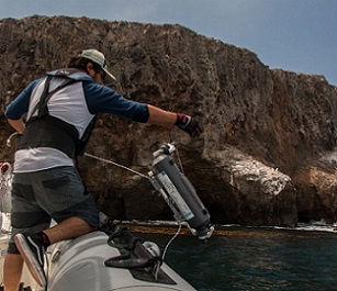 A UCLA researcher prepares to lower a specialized bottle into the ocean off of the coast of Santa Cruz Island to capture samples of eDNA. Credit - Zachary Gold