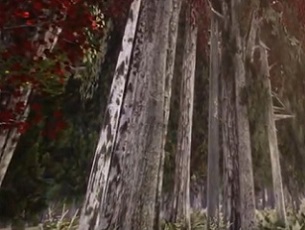 A Wisconsin type forest created in virtual reality to illustrate the effects of climate change scenarios on the trees and forest.  Credit: Alexander Klippel and Jiawei Huang, Penn State