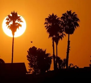 The sun rises over a neighborhood in Encinitas, California, amid a heatwave last year. Photograph: Mike Blake/Reuters