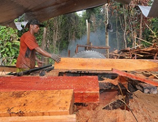 Illegal logging sawmill in Borneo in 2015. REDD+ is intended to help to monitor and stop illegal logging of tropical forests. Photo by Rhett Butler