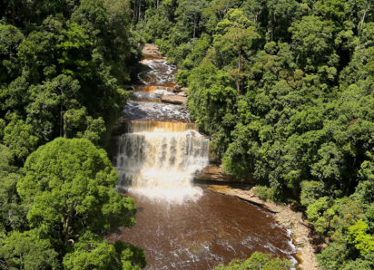 river in tropical forest