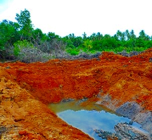 mangrove clearance, Rewa River, Fiji. Credit - V. Jungblut