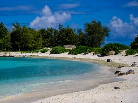 Sea turtles lie in the sun on Turtle Beach at Midway Atoll, part of the Papahānaumokuākea Marine National Monument. PHOTOGRAPH BY A.J. CHAVAR, THE NEW YORK TIMES/REDUX