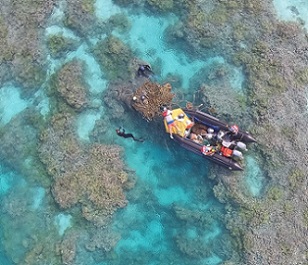 Papahanaumokuakea and Pacific Remote Islands Marine National Monuments. Credit - National Fish and Wildlife Foundation (NFWF)