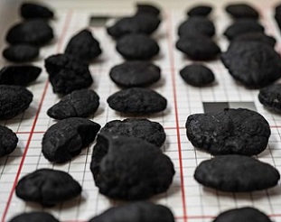 Polymetallic nodules found on the seafloor are known to contain metals such as nickel, copper and cobalt. Photo: DeepGreen Metals