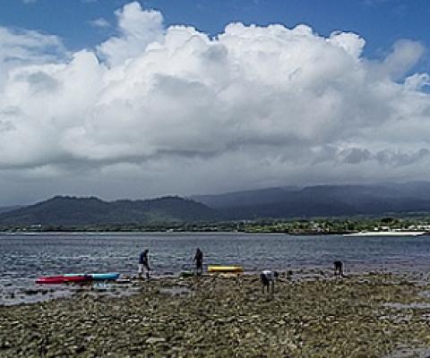 Coral reef restoration by Ferron Fruean and staff. Photo: Junior S. Ami