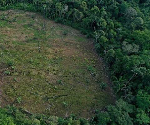 Observers say more new funding is needed, as well as the redirection of the money spent on activities like some agriculture that are harmful to nature. Credit - www.phys.org