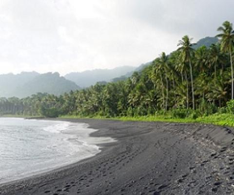 Coconut plantations lining the black sandy shores of Baniata village. Credit - Chris Vogliano