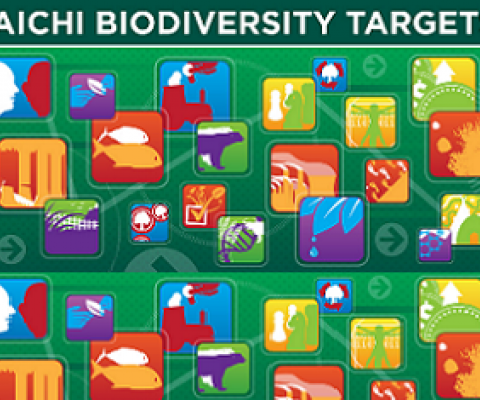 Aichi targets