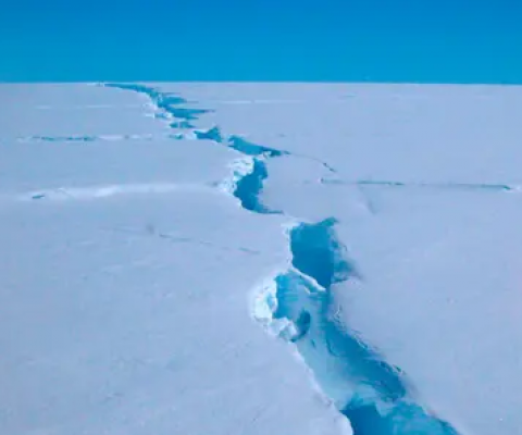 Antarctic MPA