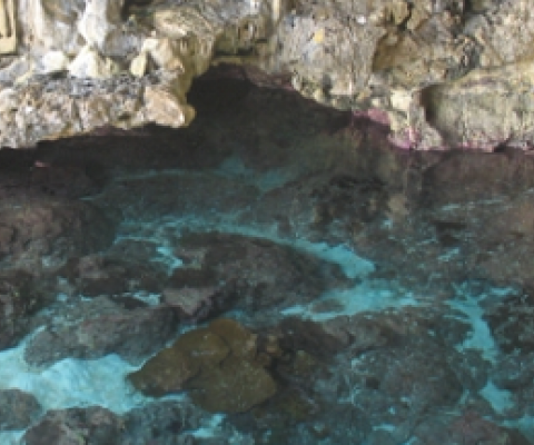 Avaiki coastal cave, Niue. Credit - Vainuupo Jungblut