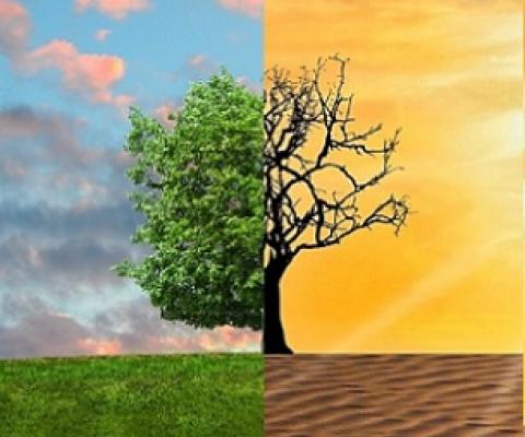 Meeting biodiversity, climate, and water objectives through integrated strategies. Credit: Pixabay/CC0 Public Domain