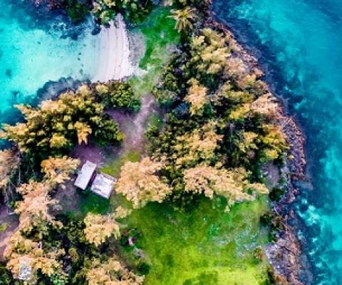 Credit - Reilly Durfy/Unsplash