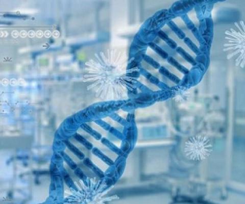 Credit: Pixabay/CC0 Public Domain