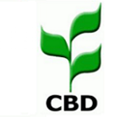 CBD logo