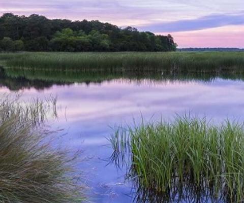 CREDIT - KEITHBRILEY/ISTOCK/GETTY IMAGES PLUS