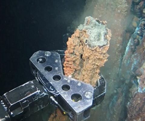 ‘Any claim of not being environmentally damaging is meaningless, as we have no idea now what that environment is’ ... a grabber breaks off a section of hydrothermal vent. Photograph: Nautilus minerals