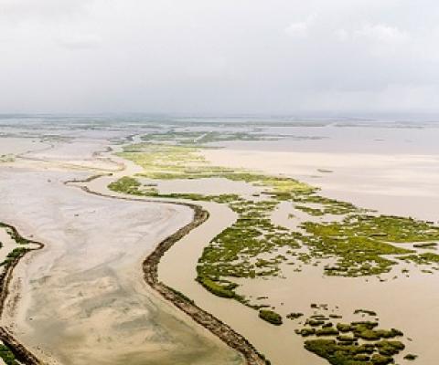 Photo: William Widmer/Redux