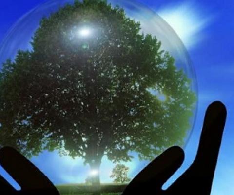 We have the opportunity to reshape our economies to support life on Earth. Governments should take it.