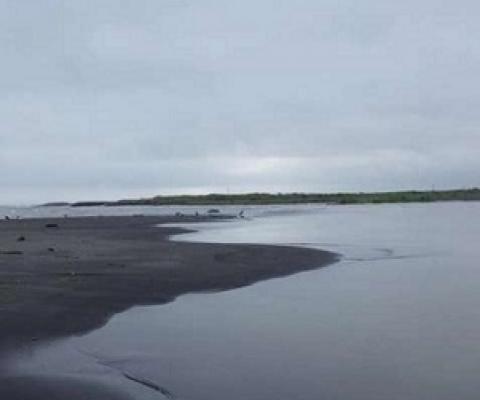 Mukawa estuary, Hokkaido, one of the 22 estuaries sampled for the study. Credit: Akihide Kasai