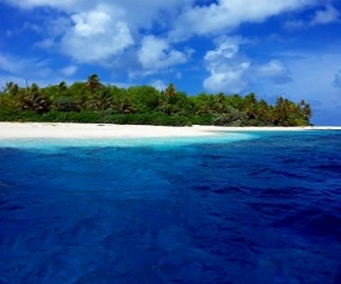 Funafuti Conservation Area, Tuvalu. Credit - V. Jungblut