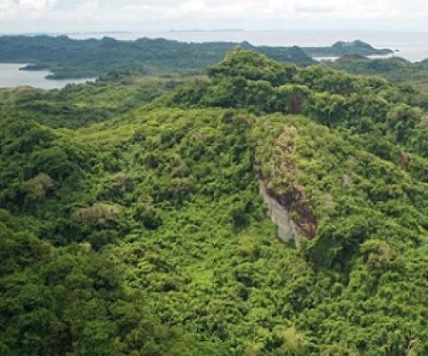 credit - https://islandtimes.org/