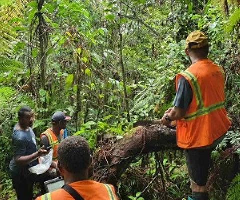 Source - https://www.fbcnews.com.fj/