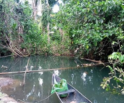 Credit - Moffat Mamu, https://www.solomonstarnews.com/