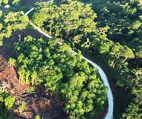 Credit - https://www.solomonstarnews.com/