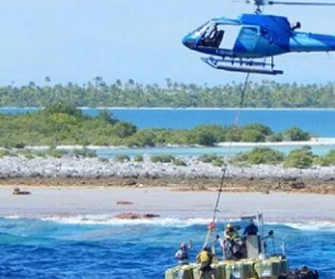 Credit - Birdlife Pacific