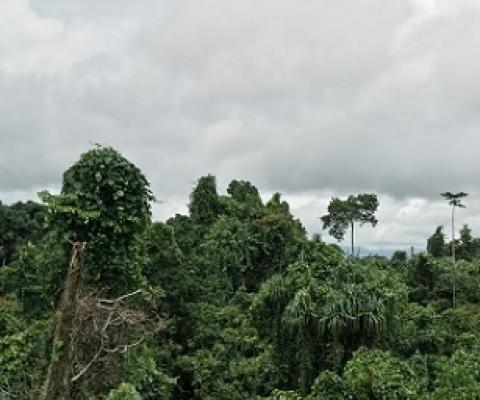 Credit - Riccardo Testolin/Getty Images