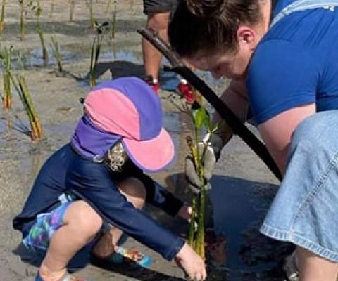 A child helps volunteers and other counter parts plant mangroves at Sopu, Nuku'alofa, Tonga. 12 August 2023. Photo: Australia in Tonga.