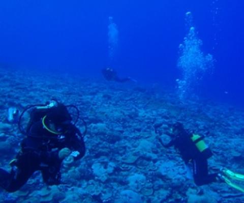 A Marae Moana research team pictured during their survey of a Mitiaro coral reef in 2013. Credit - www.cookislandsnews.com 